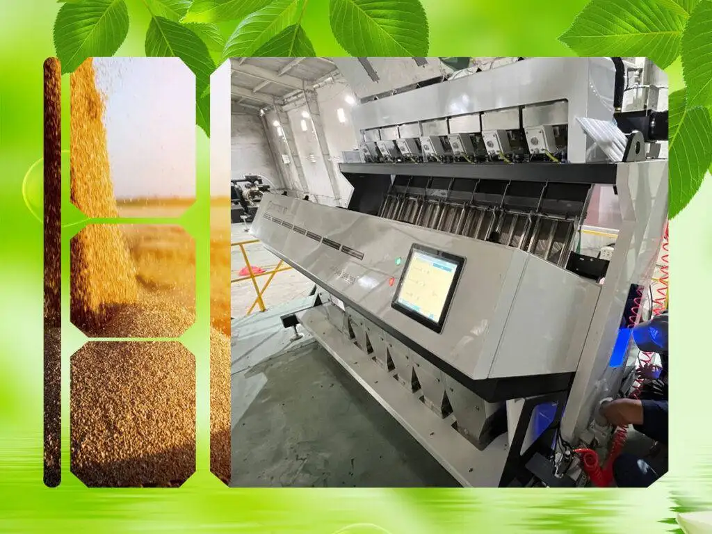 TRANG CHÍNH Máy Tách Màu