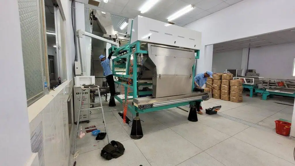 may ban mau hhc sortdek